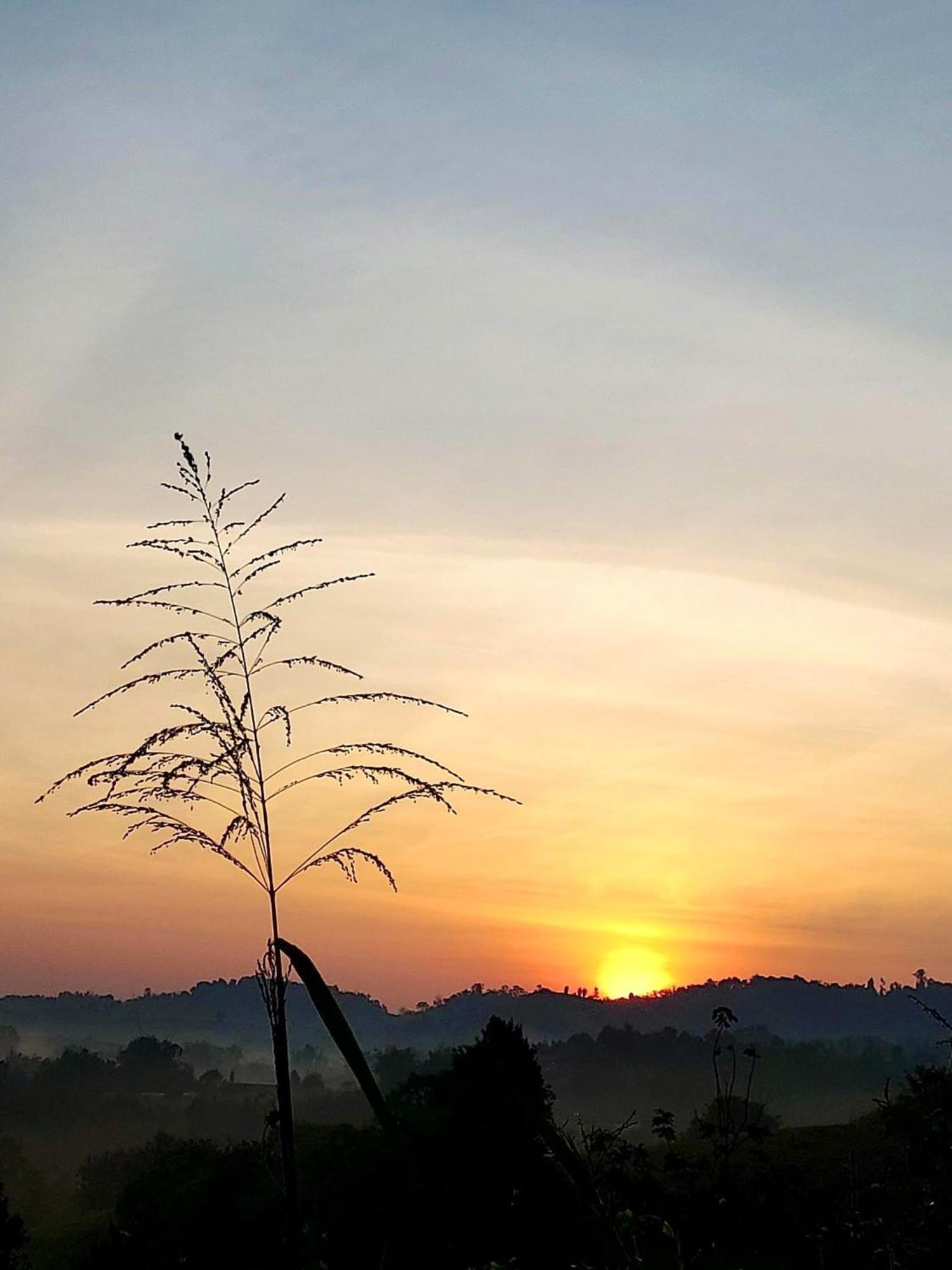 Chaikho Home Ban Khao Ya Nua Bagian luar foto